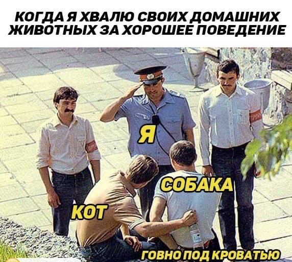 КОГДА Я ХВАЛЮ СВОИХ ДОМАШНИХ ЖИВОТНЫХ ЗА ХОРОШЕЕ ПОВЕДЕНИЕ ъц дт _ 7 а