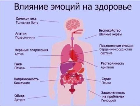Влияние эмоций на здоровье шит Кимчи ош и иммитации п мы свих пм даши ищи питон