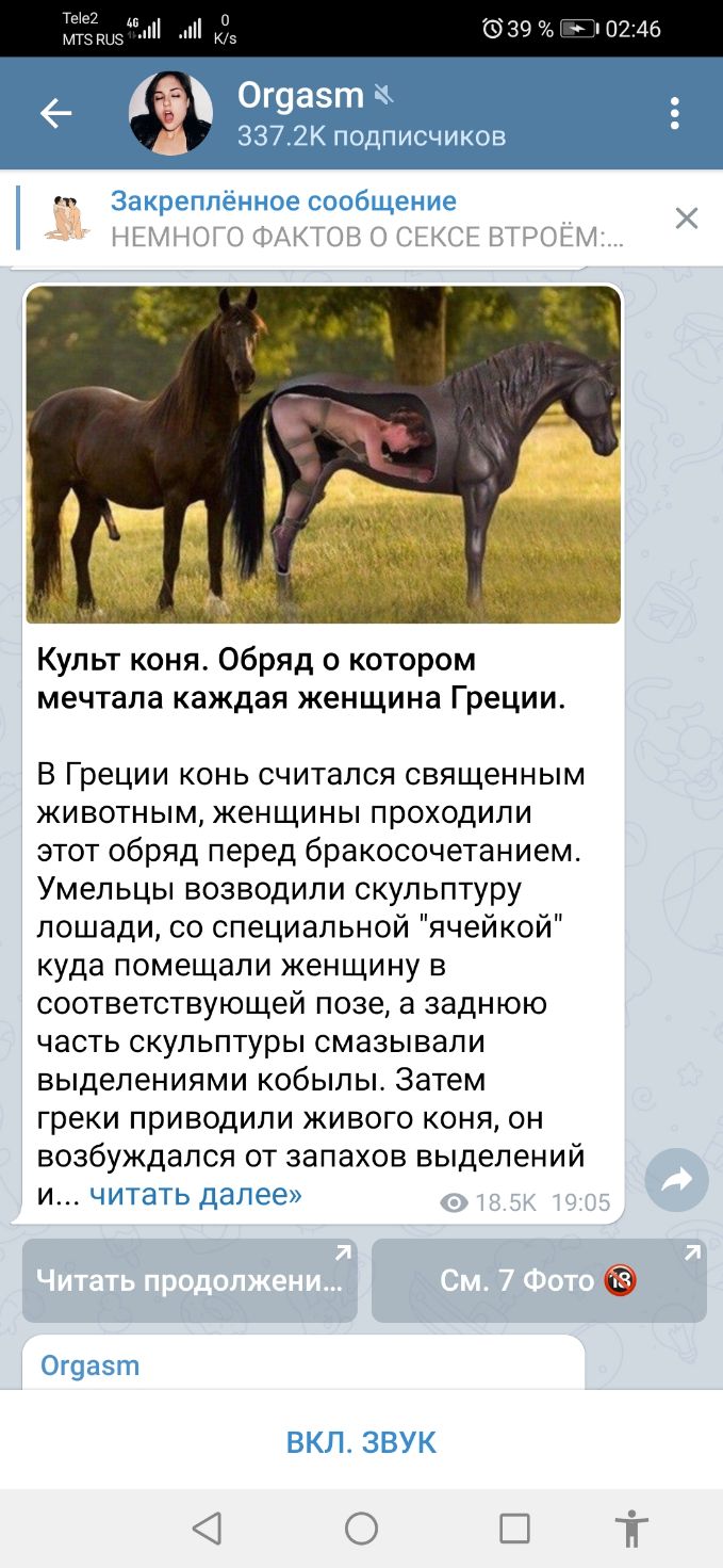 639 0246 Культ коня Обряд о котором мечтала каждая женщина Греции В Греции конь считался священным животным женщины проходили этот обряд перед бракосочетанием Умельцы возводили скульптуру лошади со специальной ячейкой куда помещали женщину в соответствующей позе а заднюю часть скульптуры смазывали выделениями кобылы Затем греки приводили живого коня он возбуждапся от запахов выделений и к т