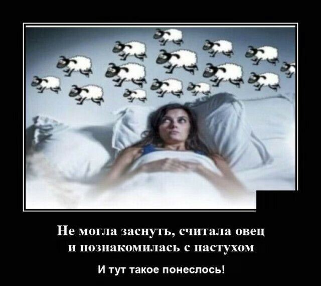 Не могла заснуть считала овец и познакомилась С ПЯСТУХОМ И тут такое понеслось