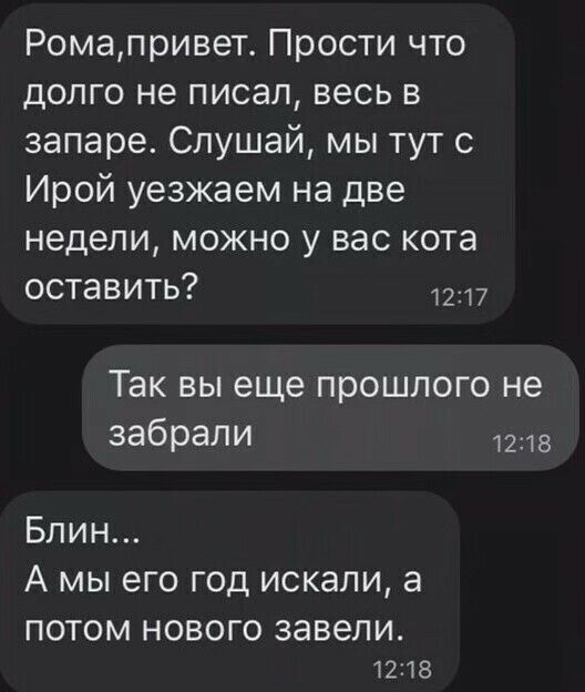 Ромапривет Прости что долго не писал весь в запаре Слушай мы тут с Ирой уезжаем на две недели МОЖНО У вас кота оставить 1217 так ВЫ еще прошлого не забрали 1218 Блин А МЫ его ГОД ИСКЭЛИ а ПОТОМ НОВОГО ЗЭВЭЛИ 1218