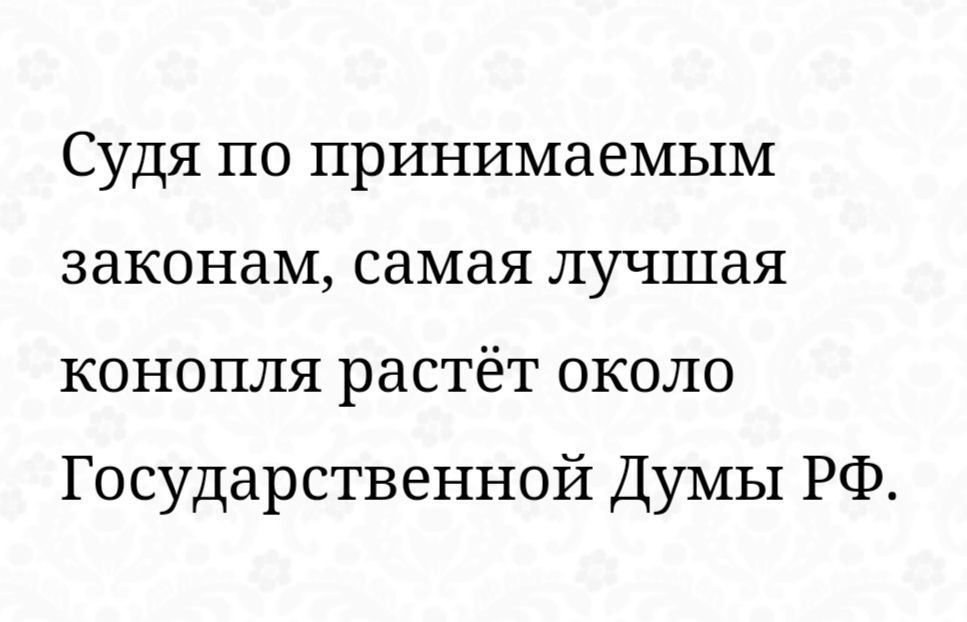 Судя по принимаемым законам самая лучшая конопля растёт около Государственной Думы РФ