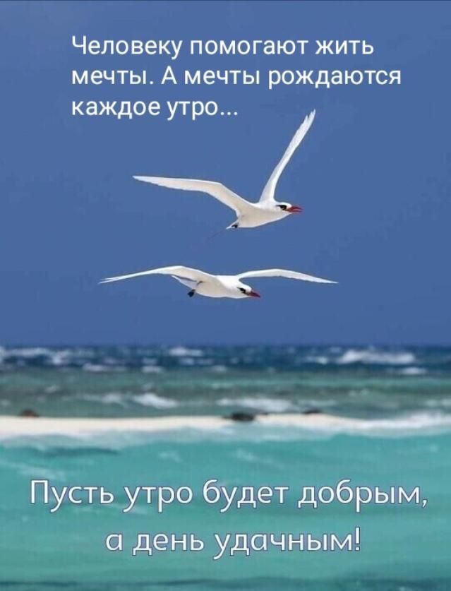 Человеку помогают жить мечты А мечты рождаются каждое УТРО ГЗУсть утро будет добрым 0 день удачным