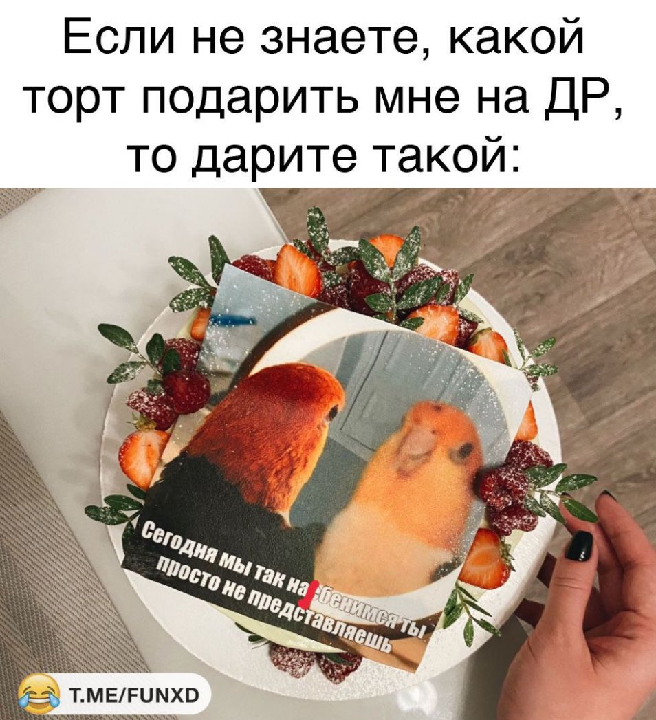 Если не знаете какой торт подарить мне на ДР то дарите такой Ёг _ ТМЕРЦМХВ