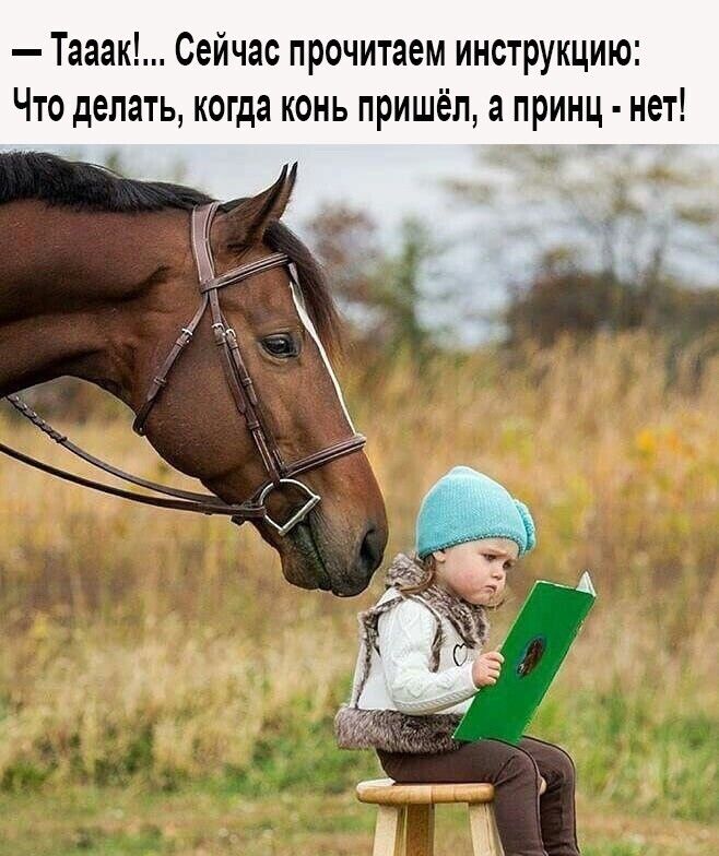 Тааак Сейчас прочитаем инструкцию Что делать когда конь пришёл а принц нет А