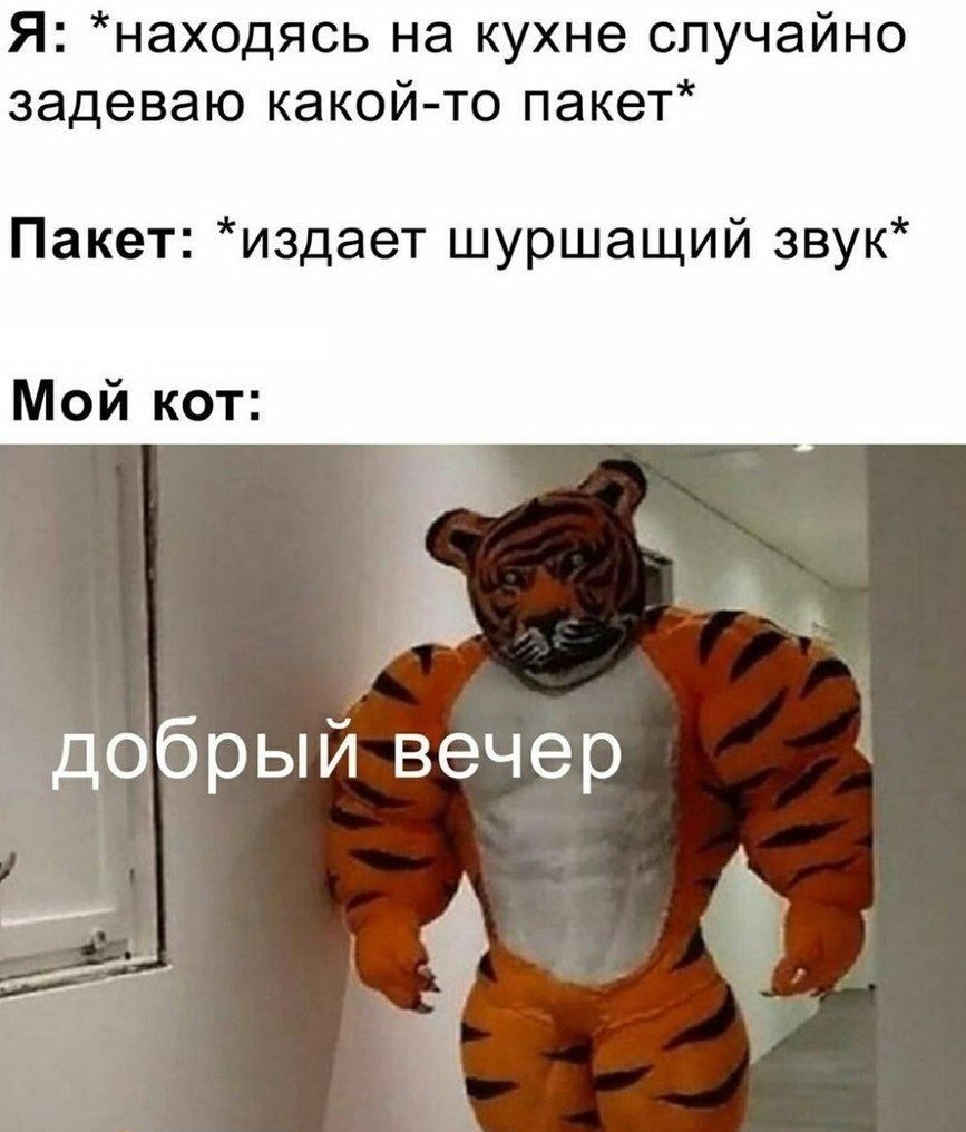 Я находясь на кухне случайно задеваю какой то пакет Пакет издает шуршащий звук Мой кот добры й вечер