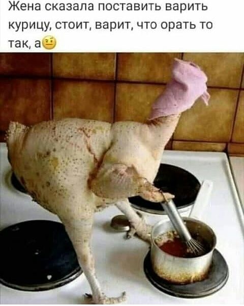 Жена СКЭЗВПЗ ПОСТЭВИТЬ ЕЭРИТЬ Курицу СТОИТ ВЕРИТ ЧТО орать ТО так аб
