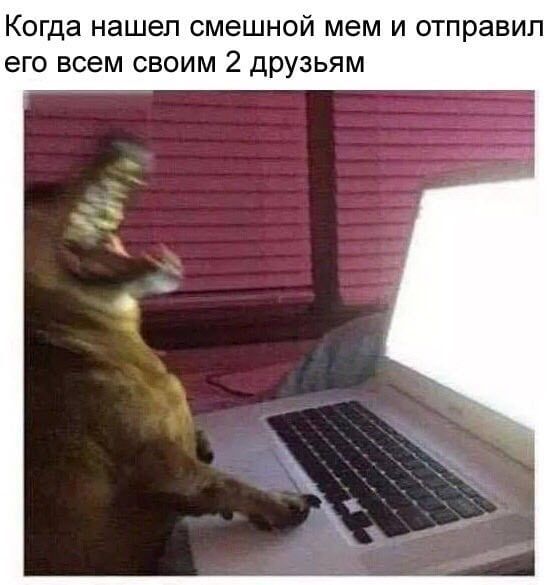Когда НЭШЭП СМЭШНОЙ мем И ОТПРЭВИП ЭГО всем СВОИМ 2 друзьям