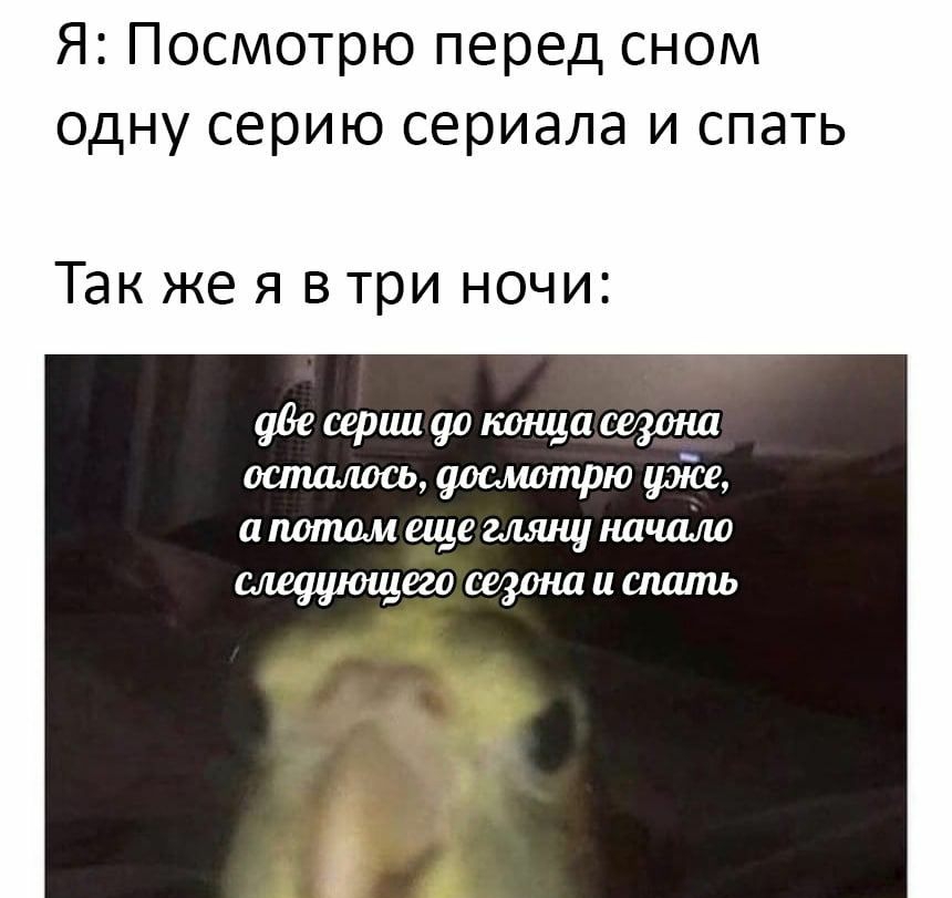 Я Посмотрю перед сном одну серию сериала и спать Так же я в три ночи ш90ктща оспщлосьлосмотрюуже апшшмещешщішшт сивушощегостнаиашть