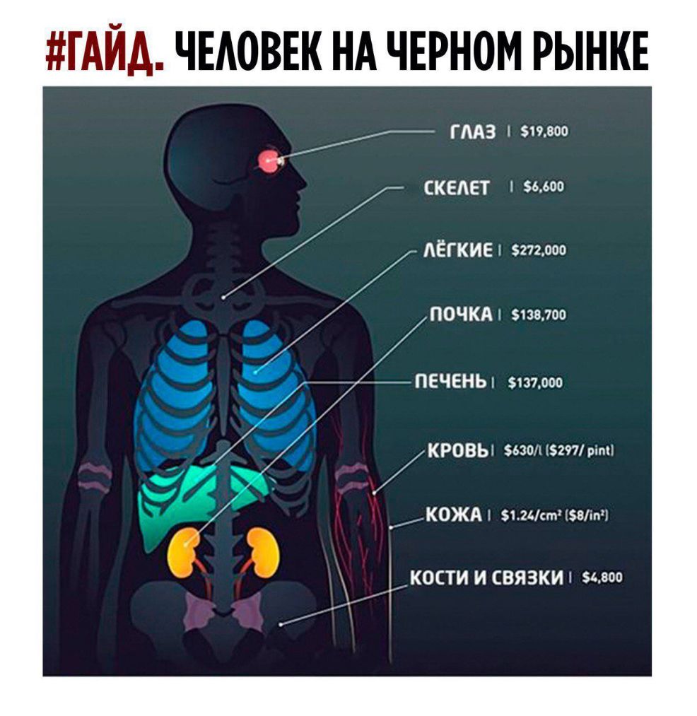ГАЙА ЧЕАОВЕК НА ЧЕРНОМ РЫНКЕ ГМЗ 519000 0 СКЕАЕТ 6600 АЁГКИЕ 5272000 ГЮЧКА 5100700 ПЕЧЕНЬ 137000 КРОВЫ шол 297рті1 __К0ЖА 124ст зв ЪуКОСТИ И СВЯЗКИ 54800