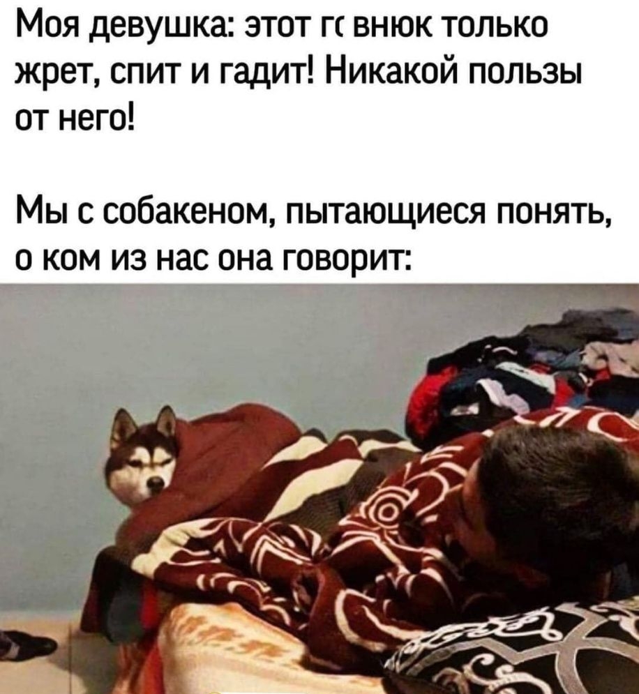 МОЯ девушка ЭТОТ ГС ВНЮК ТОЛЬКО жрет спит и гадит Никакой пользы от него Мыс собакеном пытающиеся понять о ком из нас она говорит
