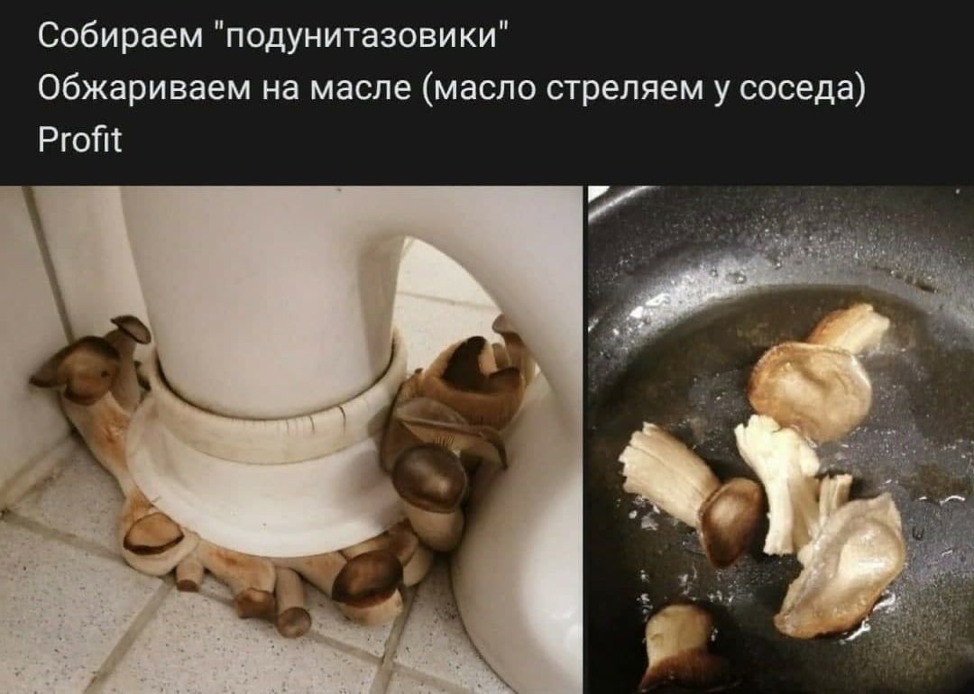 Собираем подунитазовики Обжариваем на масле масло стреляем у соседа Ргот