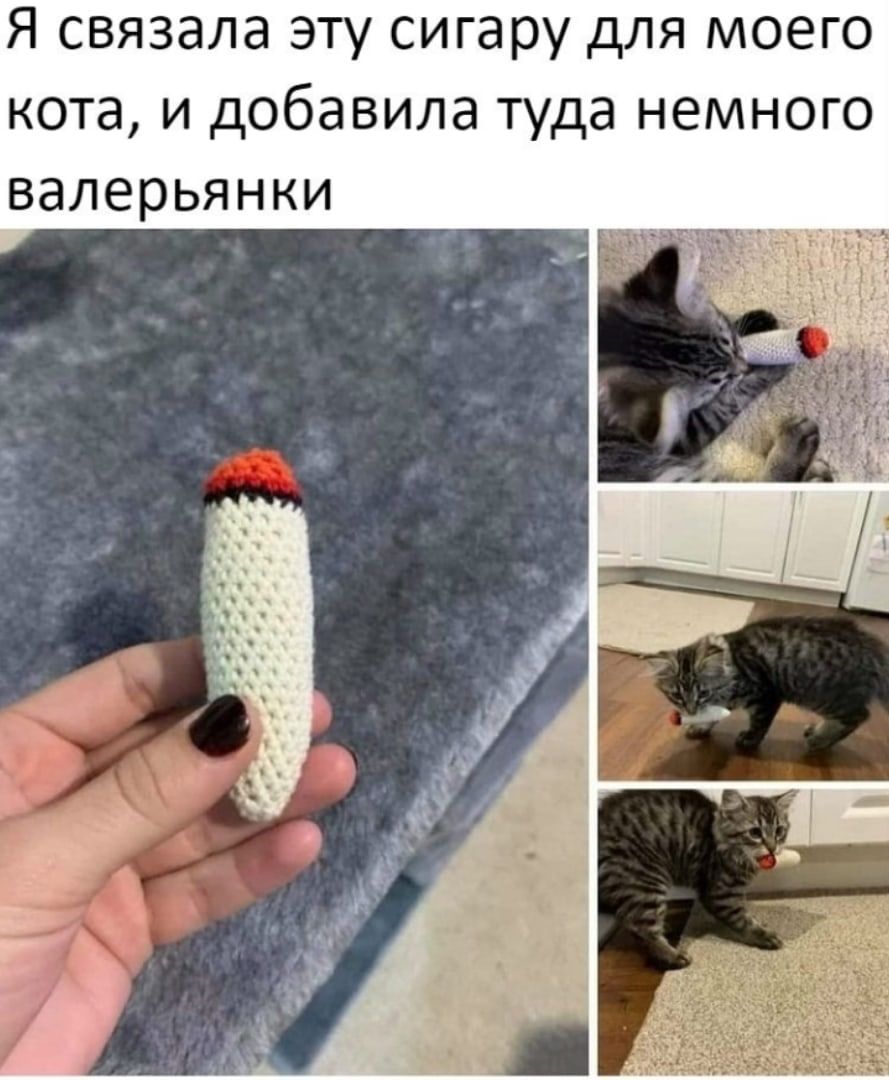 Я связала эту сигару для моего кота и добавила туда немного валерьянки