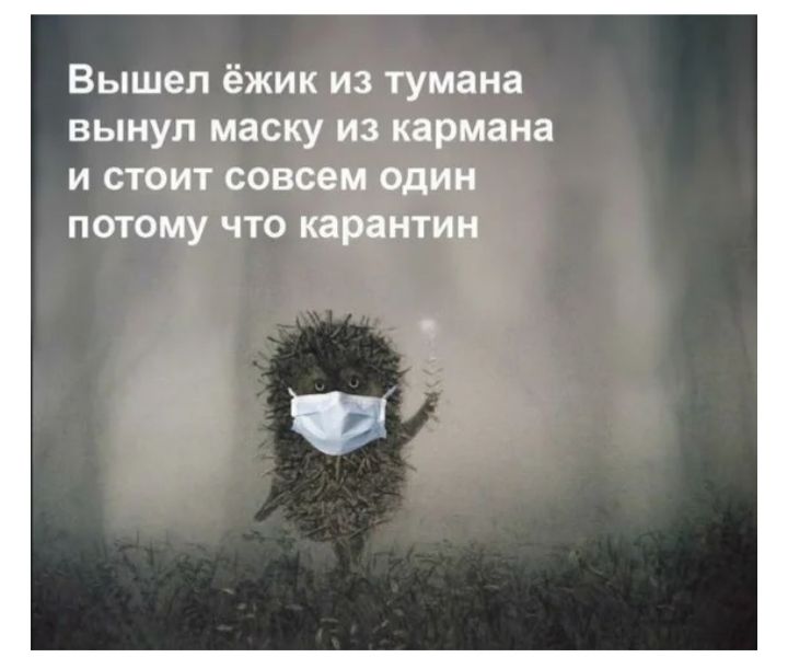 Вышел ёжик из тумана вынул маску из кармана и стоит совсем один потому что карантин