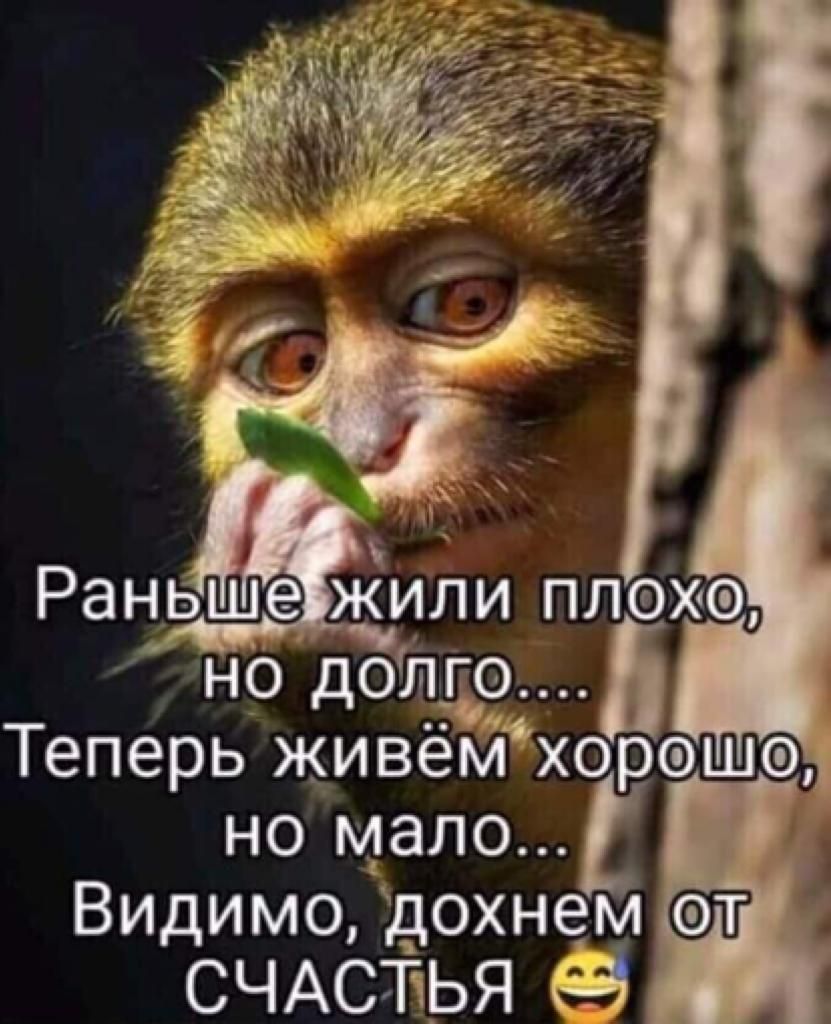 Раньше жили плох но дощ 5 Теперь живёмхорэшэ но мало Видимо дохнем П СЧАСТПЬЯ