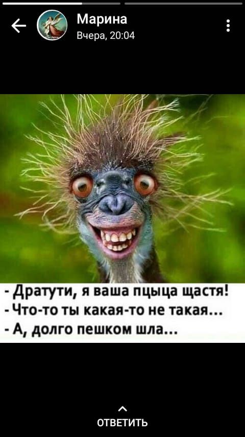 6 Марина Вчера 2004 Дратути я ваша пцыца щастя Что то ты какая то не такая А долго пешком шла ОТВЕГИТЬ