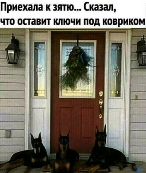 Приехала к зятю Сказал что оставит ключи под ковриком