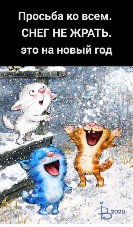 Просьба ко всем СНЕГ НЕ ЖРАТЬ это на новый год