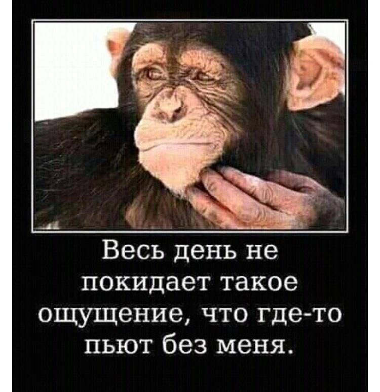 Весь день не покидает такое ощущение что где то пьют без меня