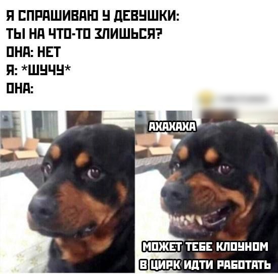 П ЕПРПШИВПШ дЕВНШКИ ТЫ Нд ЧТП ТП ПИШЬЕП ПНП НЕТ П ШНЧ ПНП мпжп тан клпннпм Е цирк идти ппнптпть