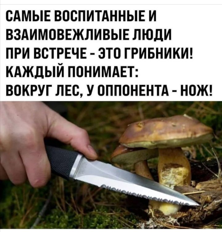 сдмын воспитднныв и вздимоввжливыв люди при встрече это гривникш КАЖДЫЙ ПОНИМАЕТ ВОКРУГ ЛЕС У ОППОНЕНТА НОЖ с