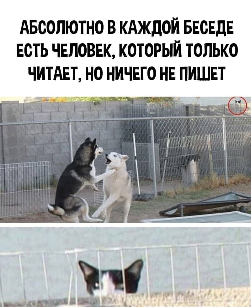 АБСОЛЮТНО В КАЖДОЙ БЕОЕДЕ ЕСТЬ ЧЕЛОВЕК КОТОРЫЙ ТОЛЬКО ЧИТАЕТ НО НИЧЕГО НЕ ПИШЕТ