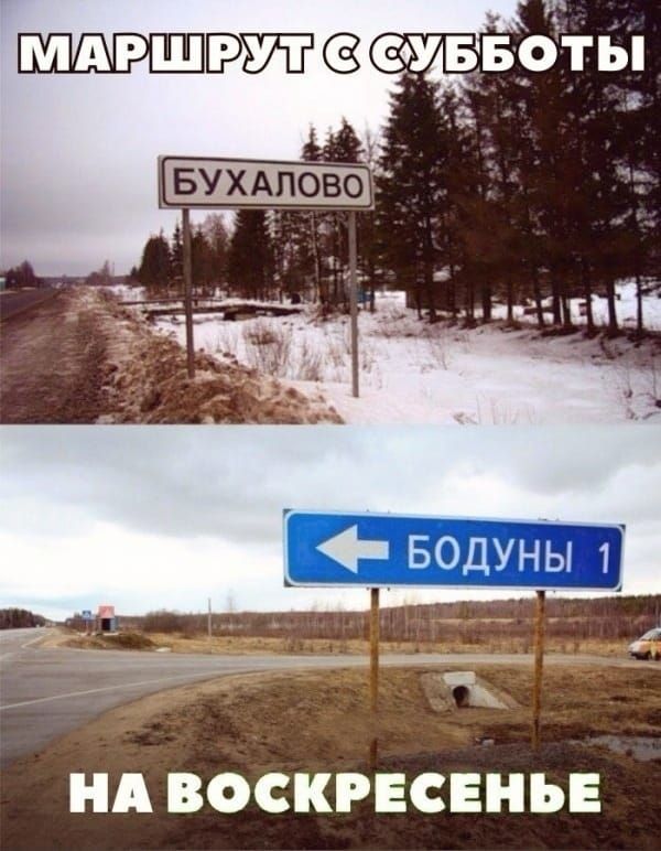 В жизни есть всего 2 важных решения куда идти и кого взять с собой джеффрп Гитоиер