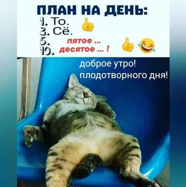 ППАН НА дЕНЬ 1 То 5 3 Се 5 пятое Ю десятое