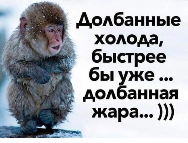 АсАбанные хшюда быстрее бы е до анная жара