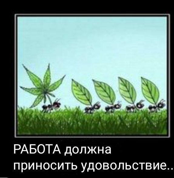 РАБОТА должна приносить удовольствие