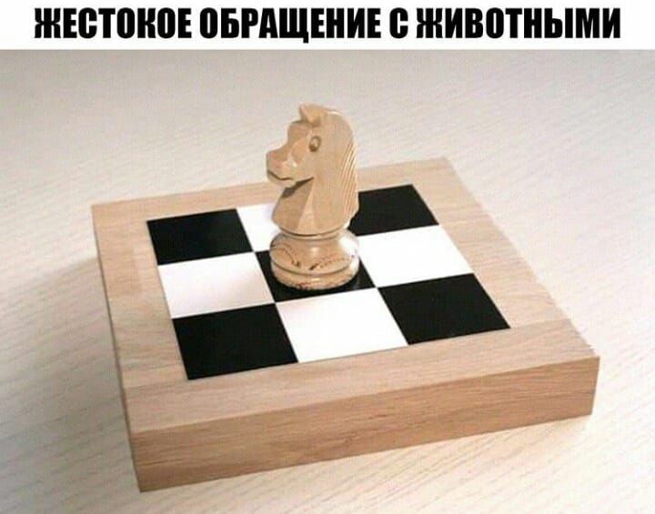ШЕБШКПЕ ВБРАЩЕНИЕ ЖИВПТНЫМИ _ і