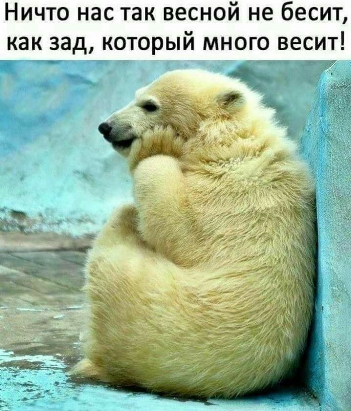 НИЧТО нас так ВЕСНОЙ не бЕСИТ как зад КОТОРЫЙ МНОГО ВЕСИТ