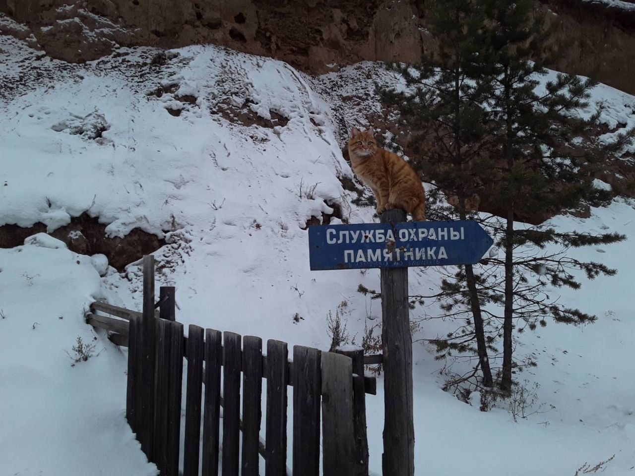 ь Р УА О А Б Ж У П С ПАМБПНИКА