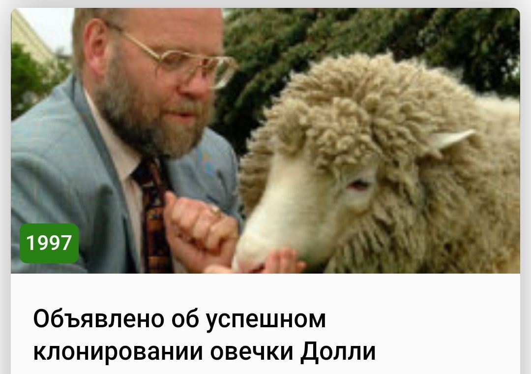 Объявлено об успешном клонировании овечки Долли