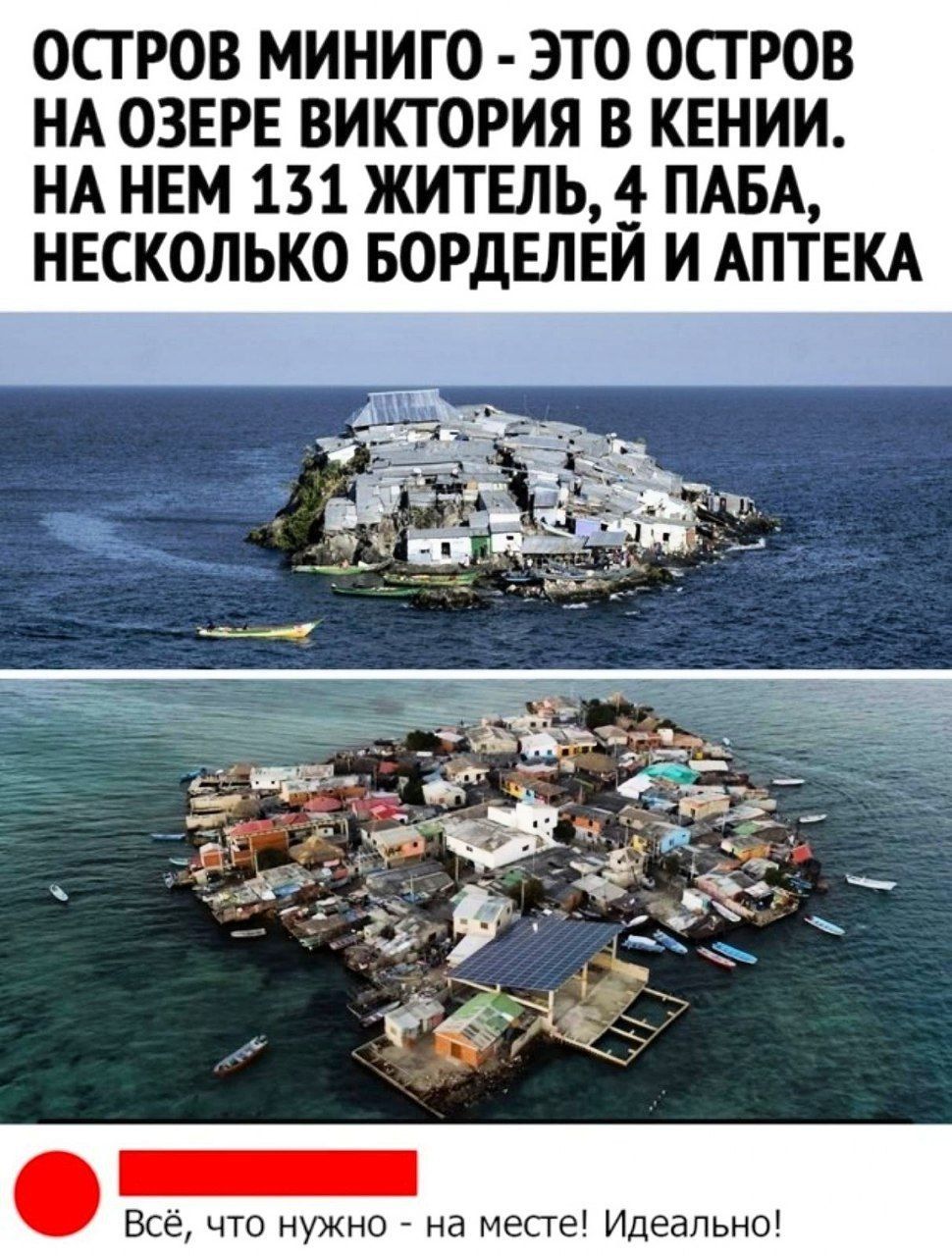 ОСТРОВ МИНИГО ЭТО ОСТРОВ НА ОЗЕРЕ ВИКТОРИЯ В КЕНИИ НА НЕМ 131 ЖИТЕЛЬ ПАБА НЕСКОЛЬКО БОРДЕЛЕИ И АПТЕКА Всё что нужно на месге Идеально