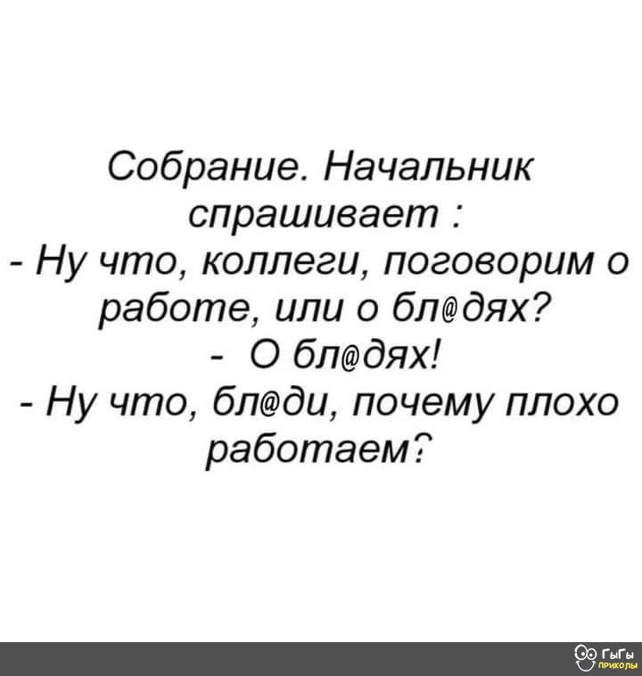 Собрание Начальник спрашивает Ну что коллеги поговорим о работе или о блдях О блдях Ну что блди почему плохо работаем Ш