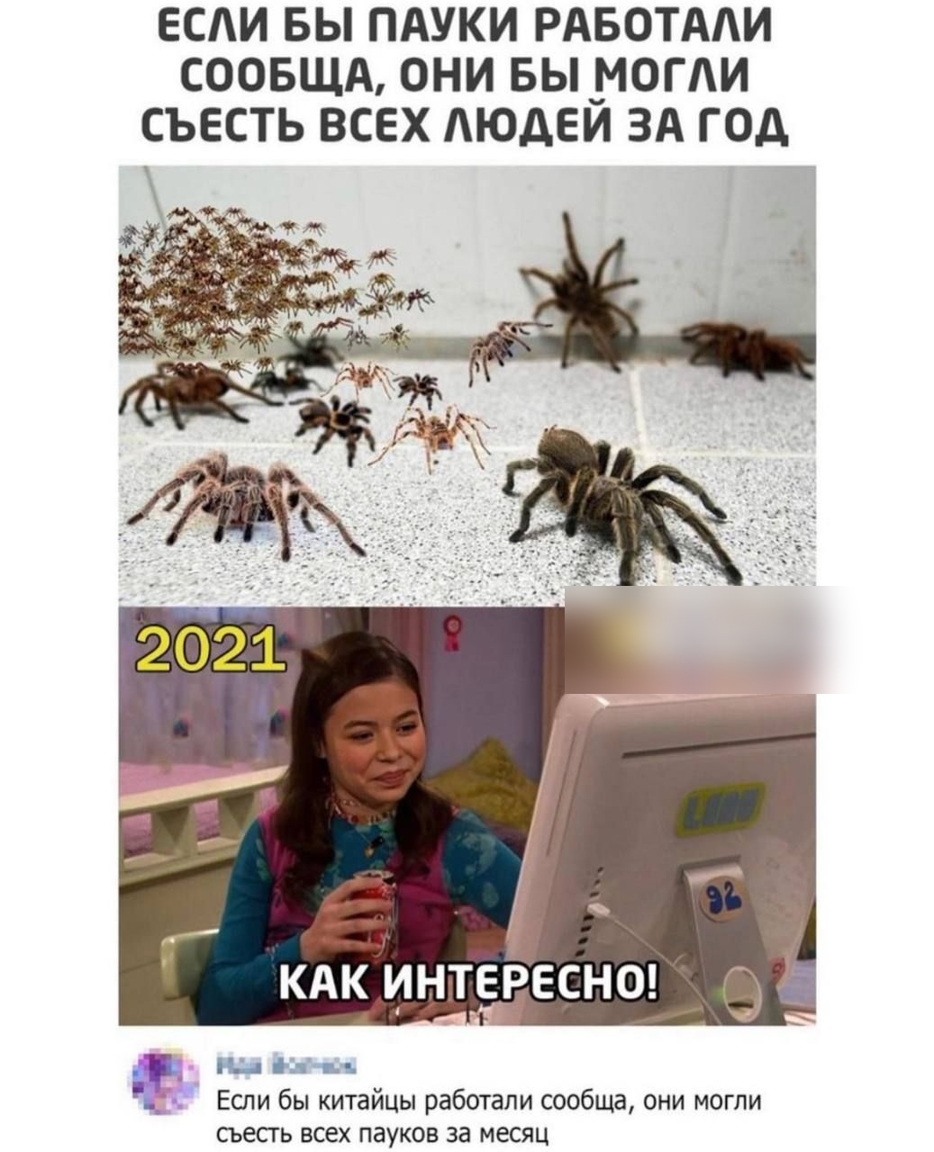 ЕСАИ БЫ ПАУКИ РАБОТААИ СООБЩА ОНИ БЬ__МОГИ СЪЕСТЬ ВСЕХ АЮДЕИ ЗА ГОД _ Нд Если бы китайцы работали сообща они могли сьесгь всех пауков за месяц