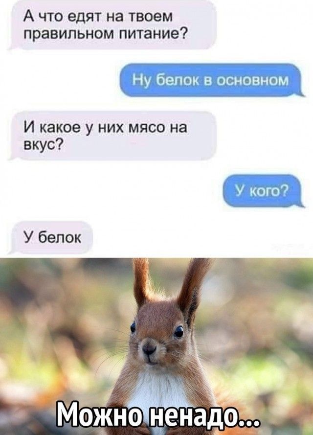А что едят на твоем правильном питание НУ бЕПОК В СНОЯНОМ И какое у них мясо на вкус ч что У белок
