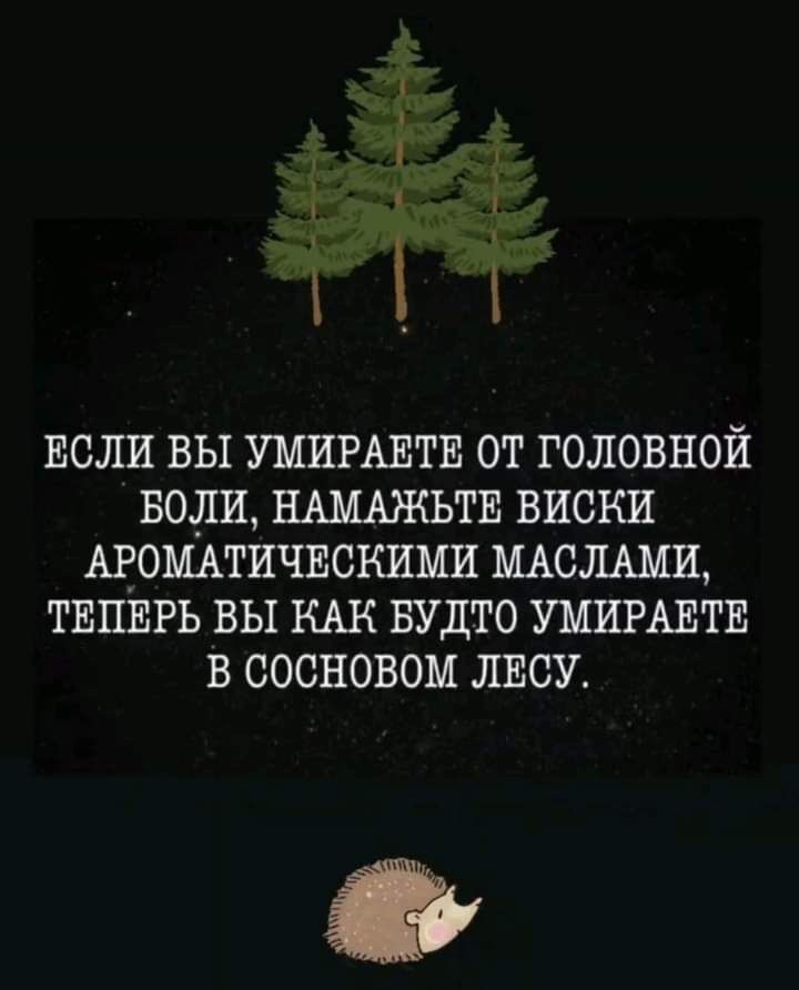 ЕСЛИ ВЫ УМИРАЕТЕ ОТ ГОЛОВНОЙ БОЛИ НАМАЖЬТЕ ВИСКИ АРОМАТИЧЕСКИМИ МАСЛАМИ ТЕПЕРЬ ВЫ КАК БУДТО УМИРАЕТЕ В СОСНОВОМ ЛЕСУ
