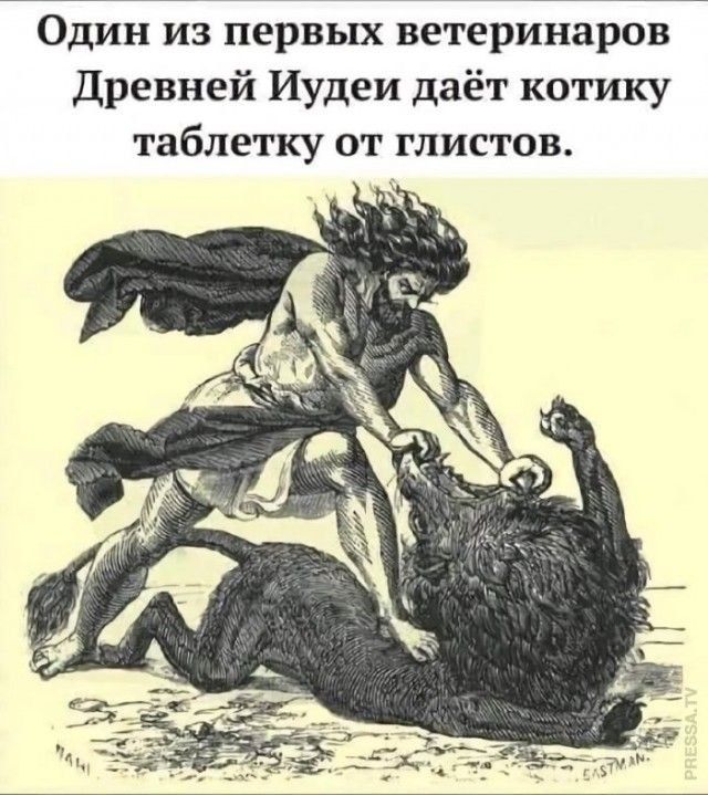 Один из первых ветеринаров Древней Иудеи даёт котику таблетку от глистов