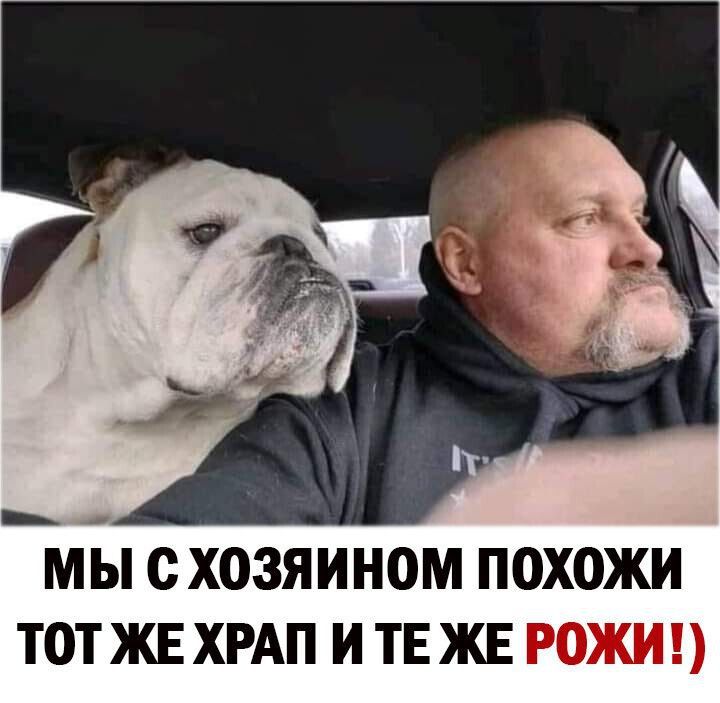 мБп с хозяином похожи тотжвхрдп и ТЕЖЕ рожип