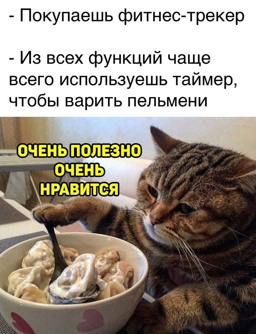 Покупаешь фитнес трекер Из всех функций чаще всего используешь таймер чтобы варить пельмени