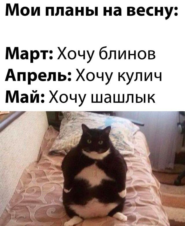 Мои планы на весну Март Хочу блинов Апрель Хочу кулич Май Хочу шашлык