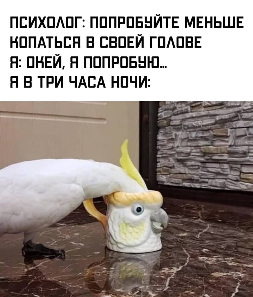 ПЕИХПАПГ ПППРПЕНЙТЕ МЕНЬШЕ НППАТЬЕН В ЕБПЕЙ ГПАПВЕ Н ПНЕЙ Н ПППРПБНЮ Н В ТРИ ЧАЕА НПЧИ