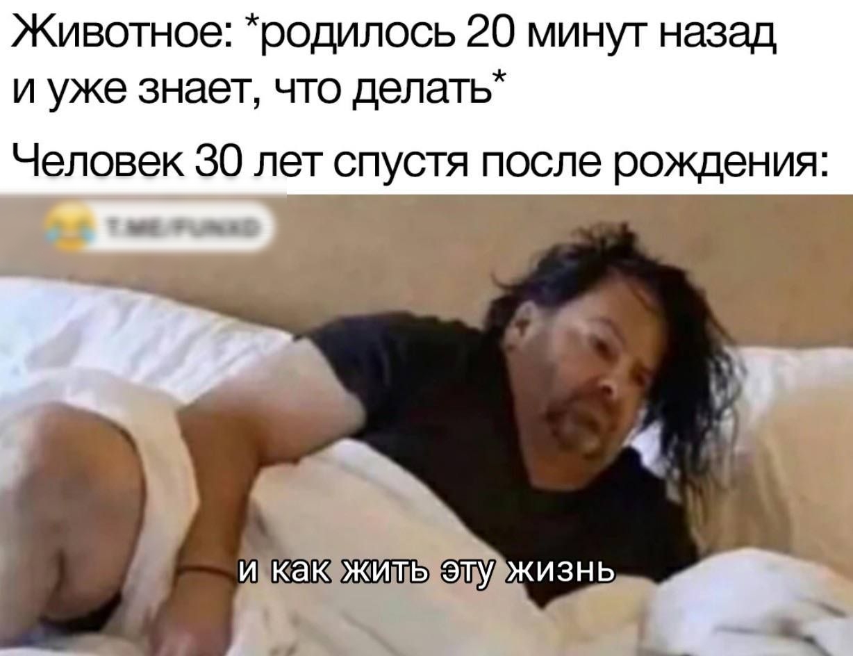 Животное родилось 20 минут назад и уже знает что делать Человек 30 лет спустя после рождения