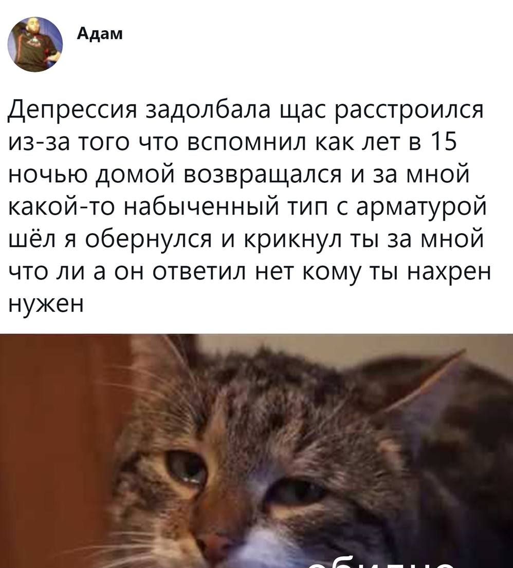 Адам Депрессия задолбала щас расстроился из за того что вспомнил как лет в 15 ночью домой возвращался и за мной какой то набыченный тип с арматурой шёл я обернулся и крикнул ты за мной что ли а он ответил нет кому ты нахрен нукен