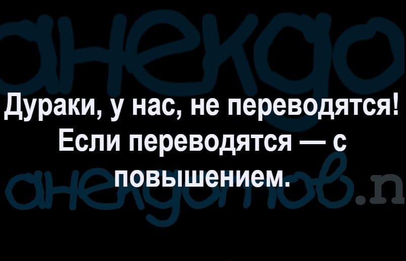 Дураки у нас не переводятся Если переводятся с повышением