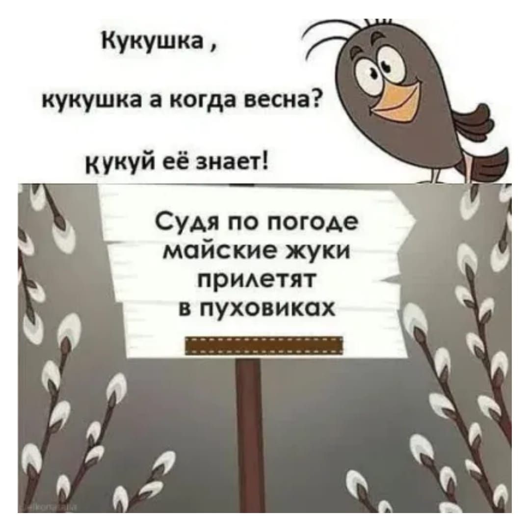 Бухгалтерский гороскоп на следующую неделю: настоящий, а вы какой думали?!