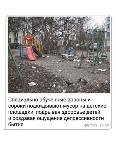 Специально обученные вороны и сороки подкидывают мусор на детские площадки подрывая здоровье детей и создавая ощущение депрессивности бытия