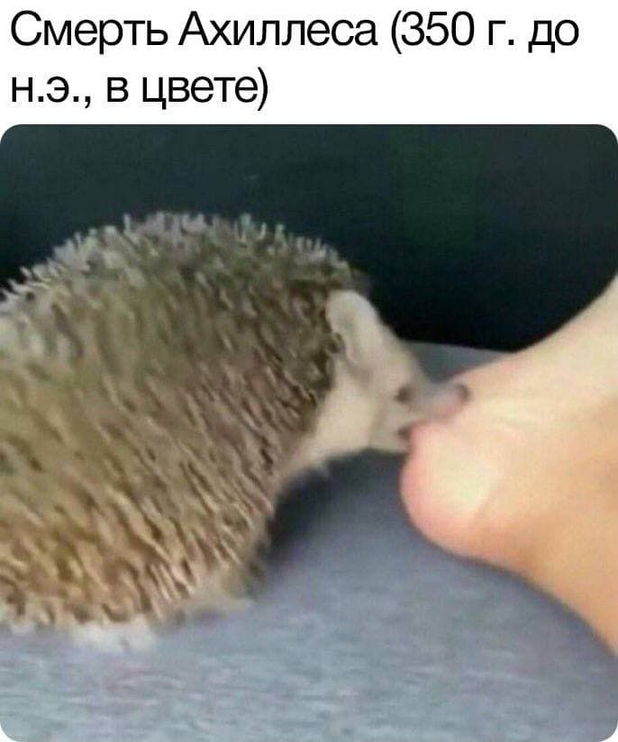 Смерть Ахиллеса 350 г до нэ в цвете